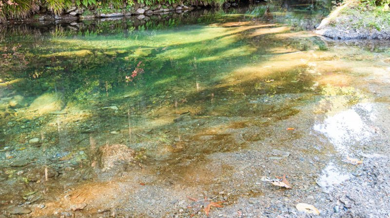 涅 - Subsoil - - KUDEN by TAKAHIRO SATO