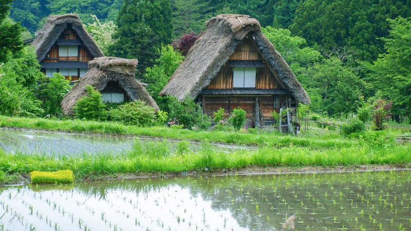 May - 皐月 - - KUDEN by TAKAHIRO SATO