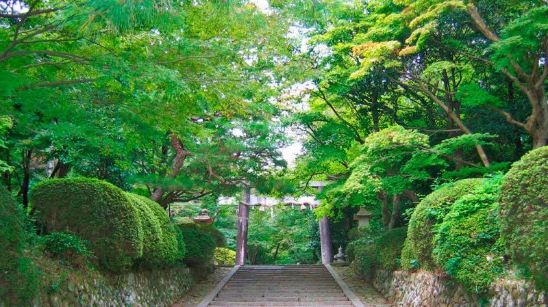 空蝉-the present world- - KUDEN by TAKAHIRO SATO