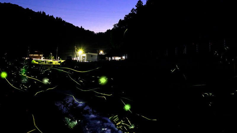 宵蛍-Evening Fireflies- - KUDEN by TAKAHIRO SATO