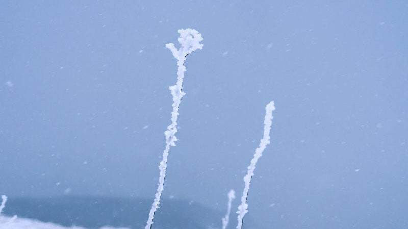 風花 - Snow flower flake - - KUDEN by TAKAHIRO SATO