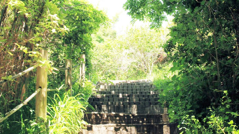 風薫る - Light Breeze - - KUDEN by TAKAHIRO SATO