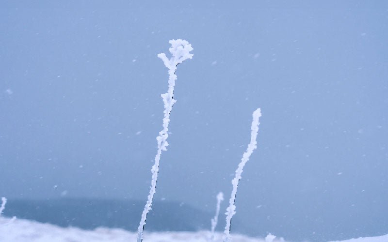 風花 - Snow flower flake - - KUDEN by TAKAHIRO SATO